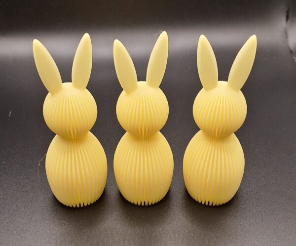 3 Paashaasjes Geel
